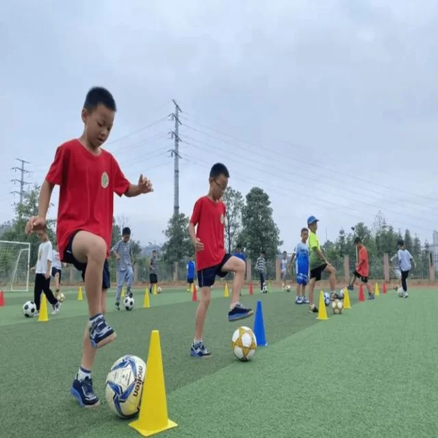 电竞季后赛战术变化与阵容视角的深度解读